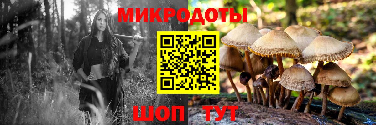 Звенигород  Псилоцибиновые грибы прущие грибы  Вход с VPN 